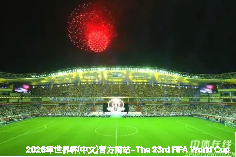 FIFA 中国平台介绍